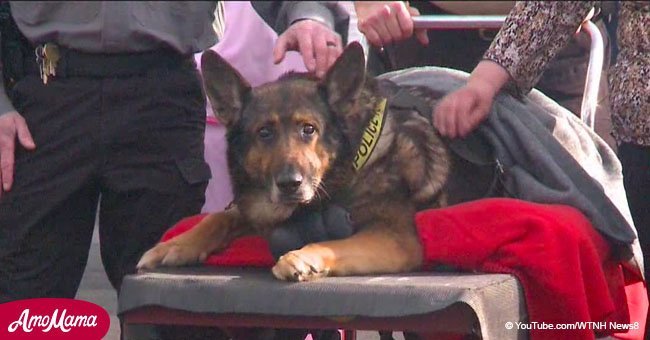 Loyal police dog's last ride in a squad car before being put to rest