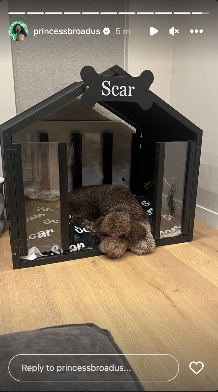 A picture of Cori Broadus' dog, Scar, resting in his kennel posted on January 30, 2024 | Source: Instagram/princessbroadus