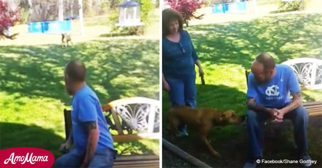 Dog doesn't recognize owner after he returns from 5-week hospital stay