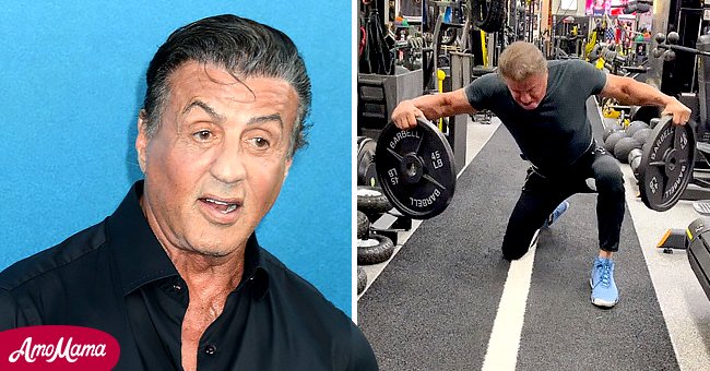 Sylvester Stallone, 74, Defies Age as He Lifts 90 Lbs at the Gym in New ...