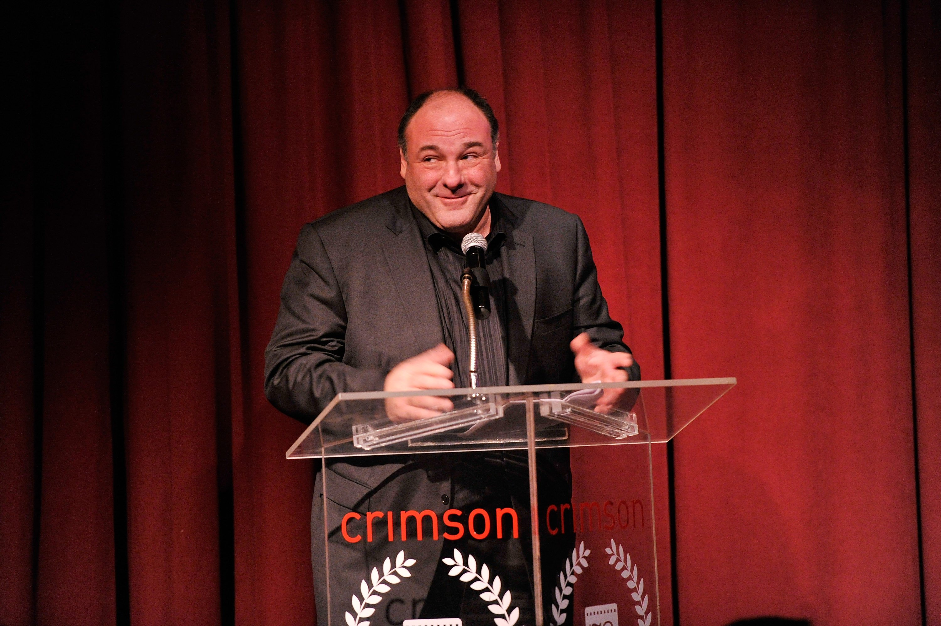 James Gandolfini at the 2012 New York Film Critics Circle Awards on January 7, 2013. | Source: Getty Images