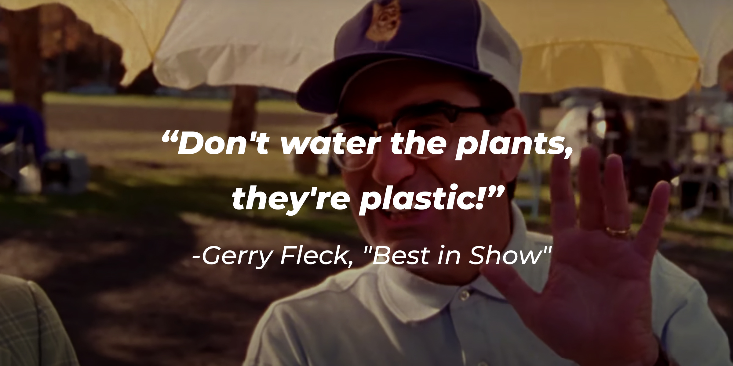 Gerry Fleck with his quote: "Don't water the plants, they're plastic!" | Source: Youtube.com/hbomax