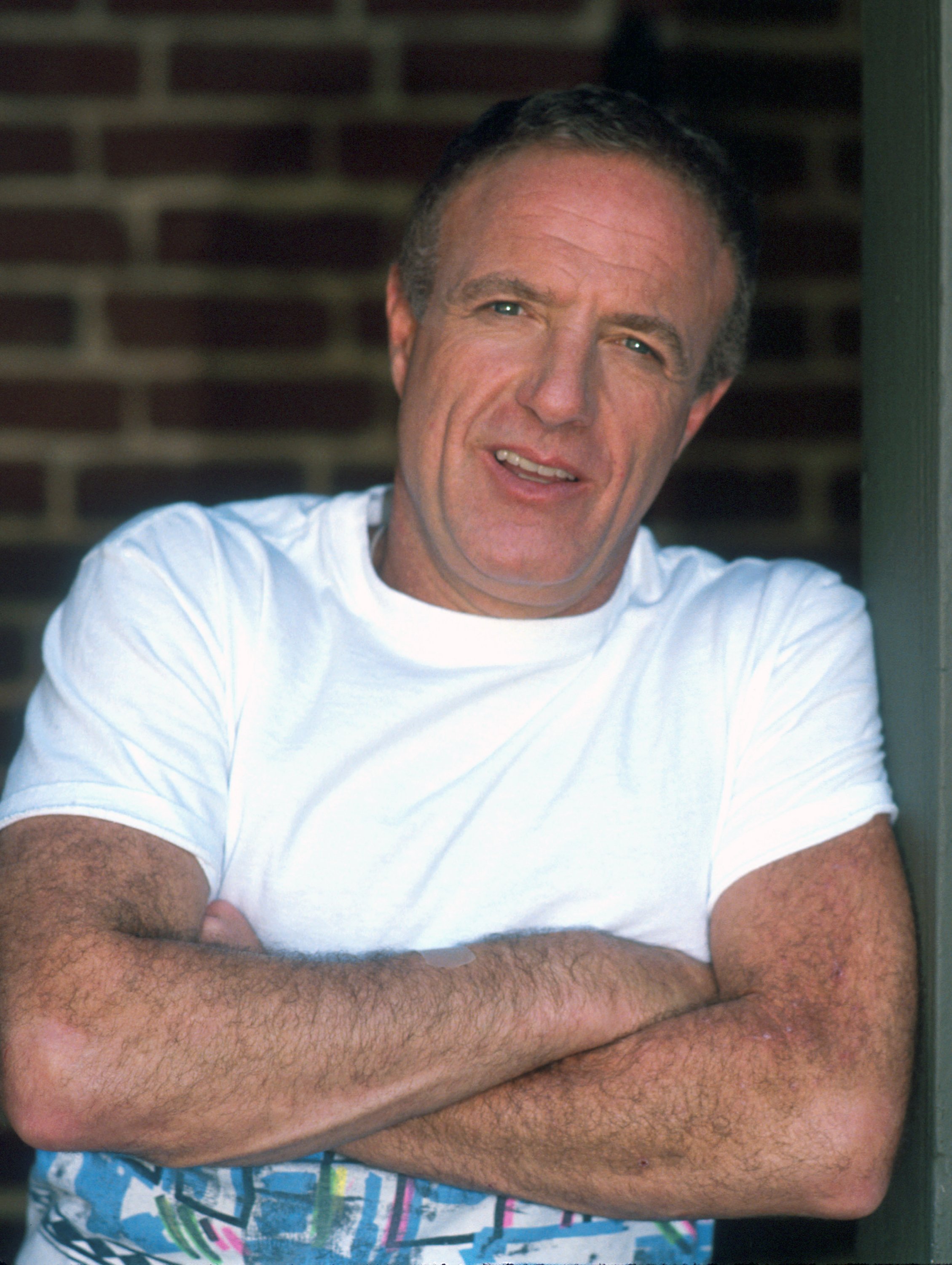 James Caan at his home on September 29, 1988, in Los Angeles, California. | Source: Getty Images