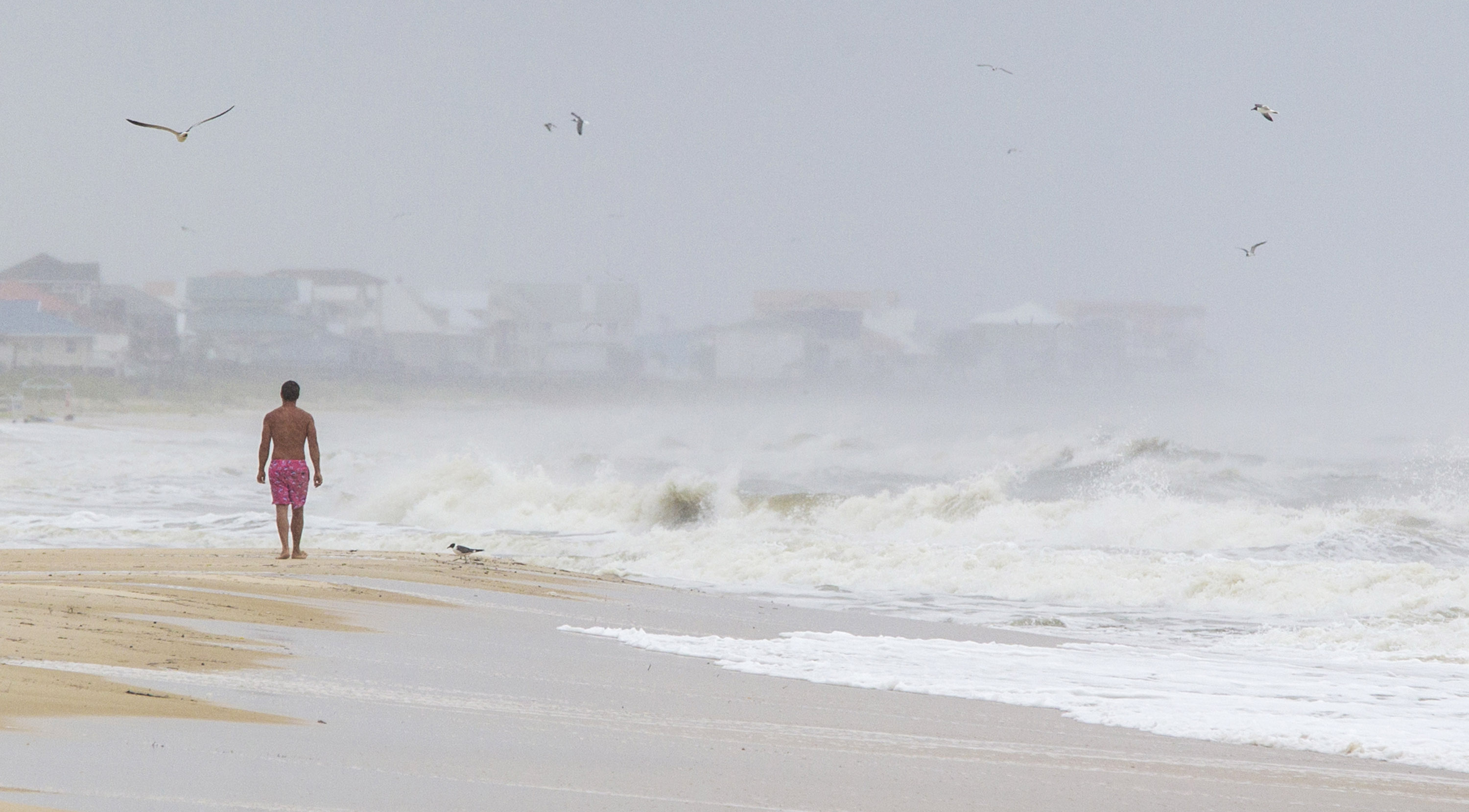 A man walks on the beach in St. George Island, Florida | Source: Getty Images