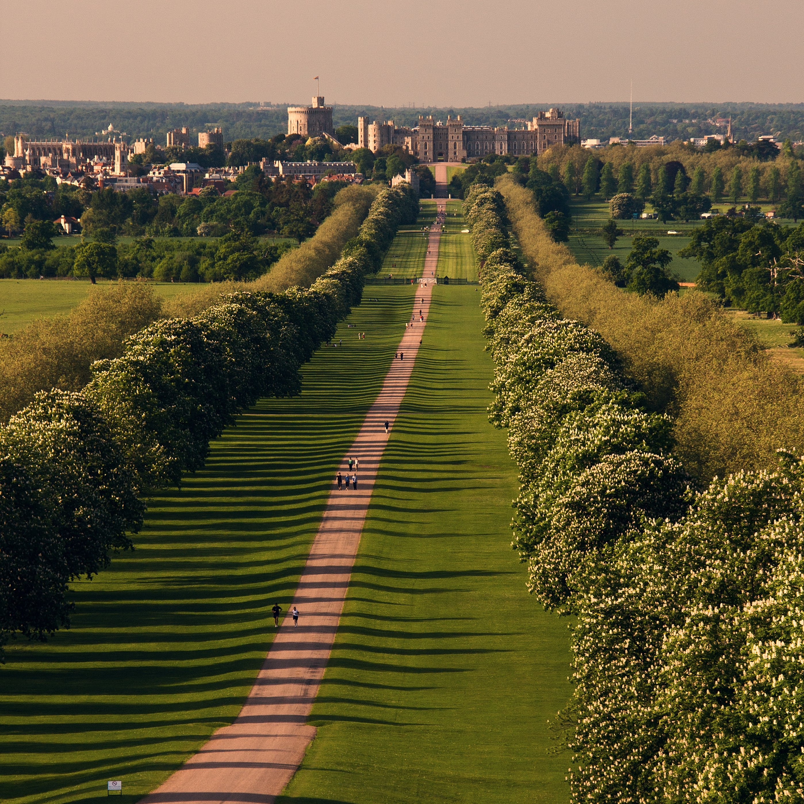 Long Walk in Great Park with skyline in background. | Source: Getty Images