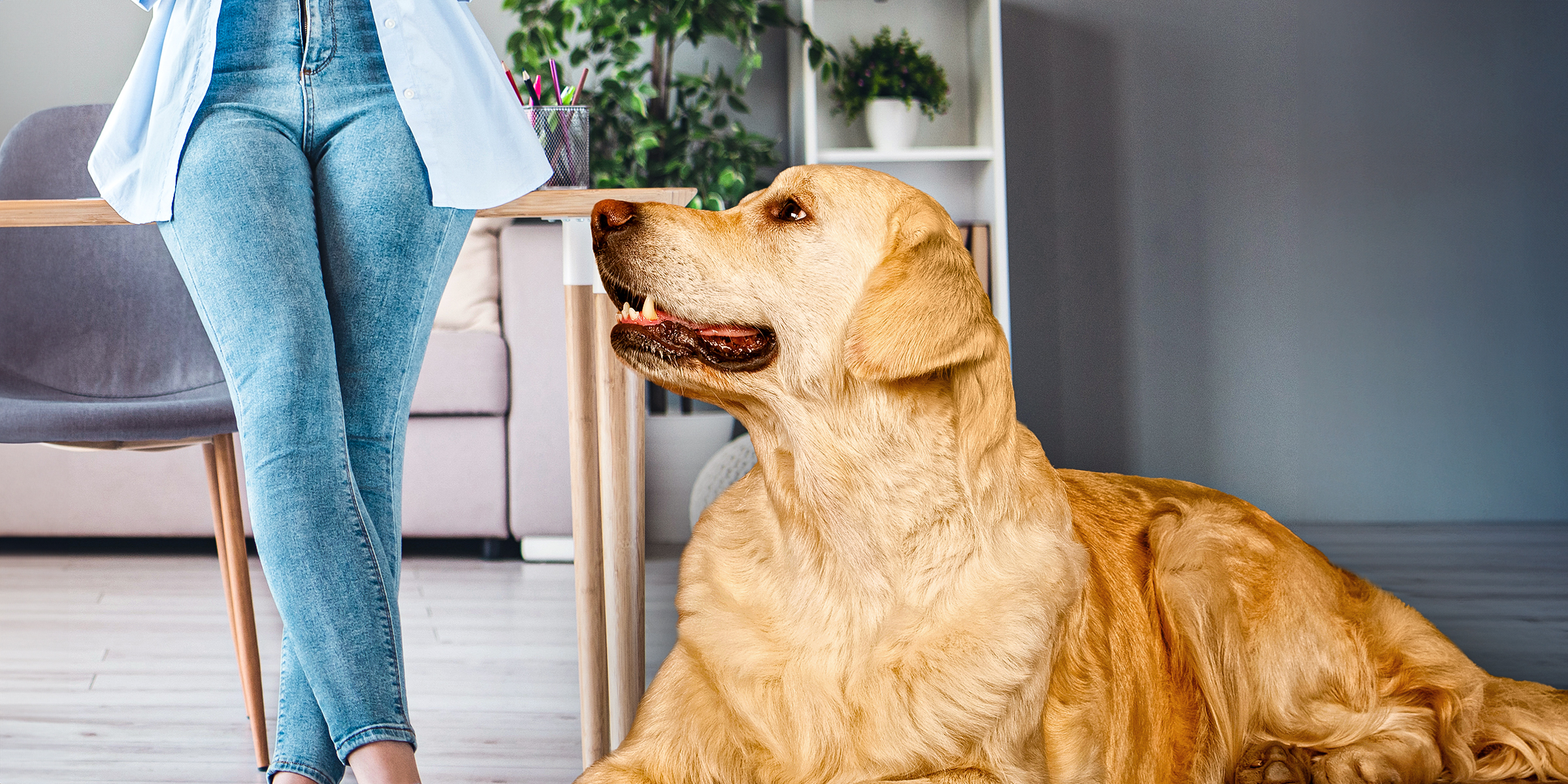 A dog sitting near a woman wearing jeans | Source: Shutterstock