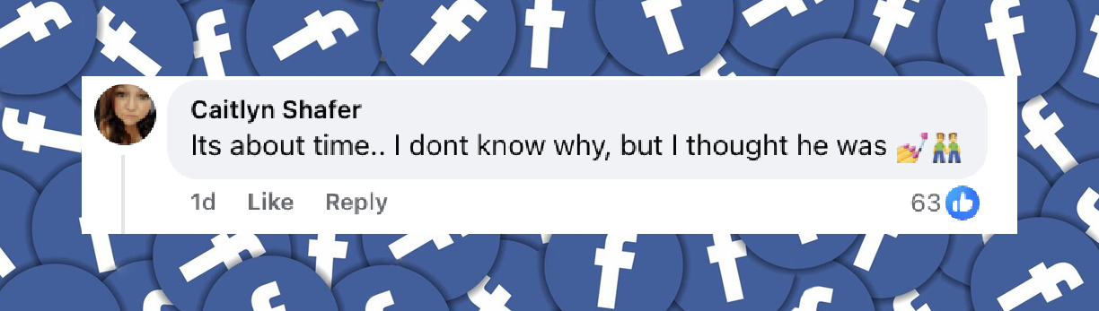 A netizen's reaction to Lauren Silverman's latest social media post, shared on October 25, 2025. | Source: Facebook/enews