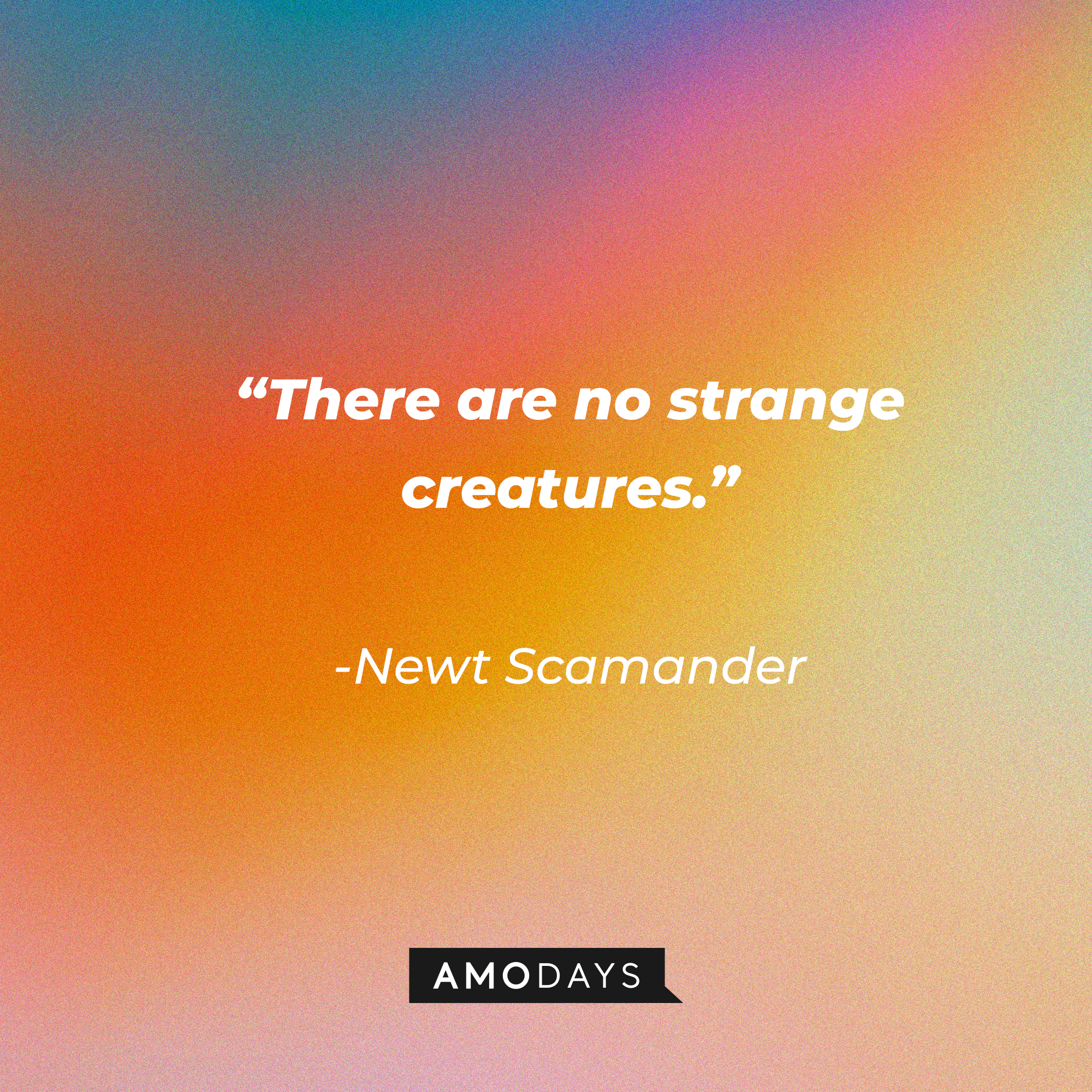 Newt Scamander's quote: "There are no strange creatures." | Source: facebook.com/fantasticbeastsmovie
