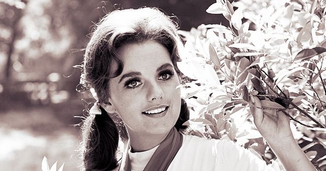 Dawn Wells Will Turn 82 This Year — Glimpse into the Age-Defying