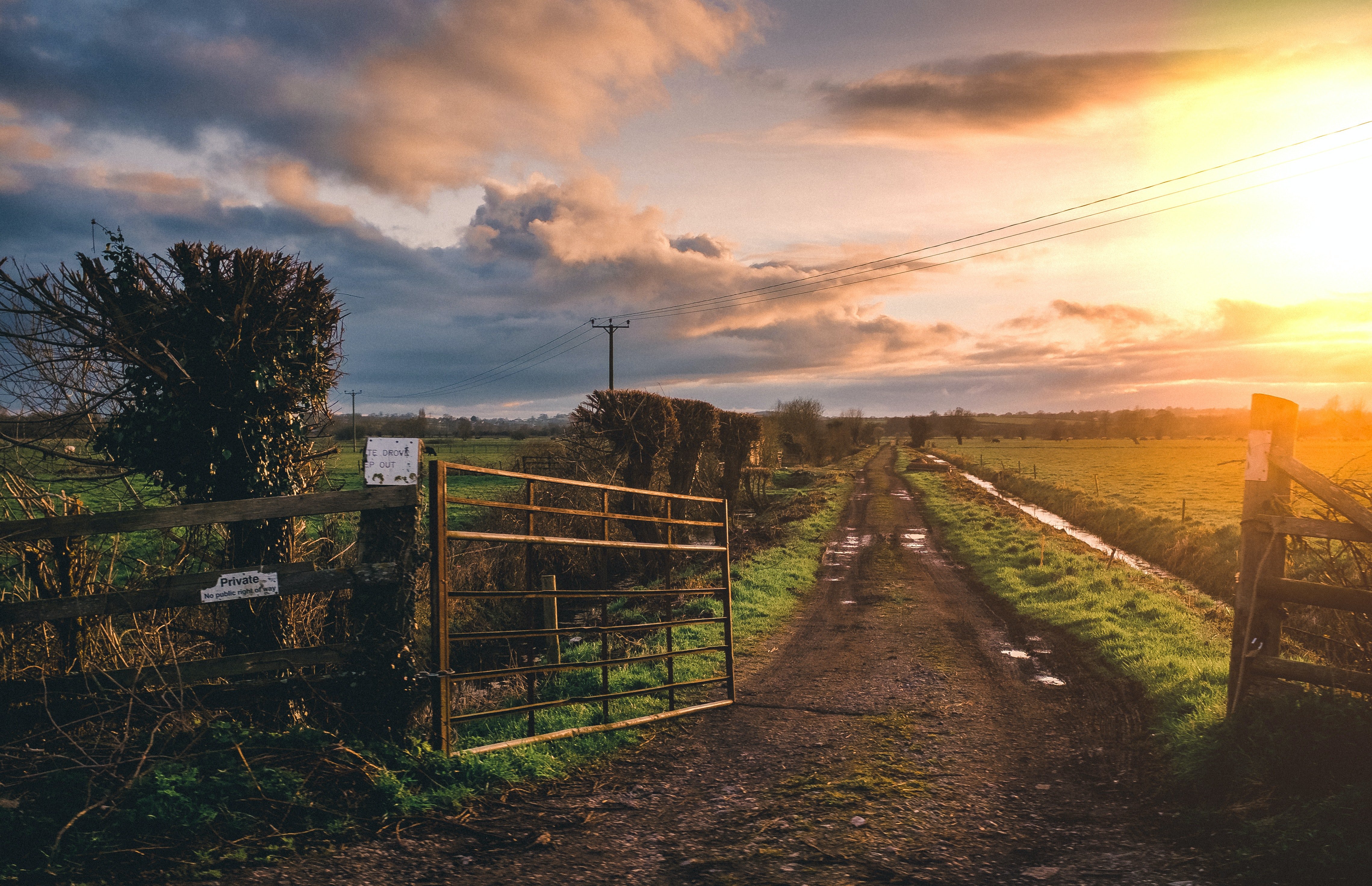 Patricia and Robbie walked around the farm, reminiscing their childhood. | Source: Pexels
