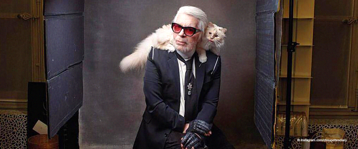 L'héritage Karl Lagerfeld : qui est Françoise, qui va gérer tout l'argent de la chatte héritière ?