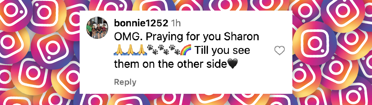 A netizen's reaction to the death of Sharon Osbourne’s furry companion, as posted on October 19, 2025 | Source: Instagram/sharonosbourne