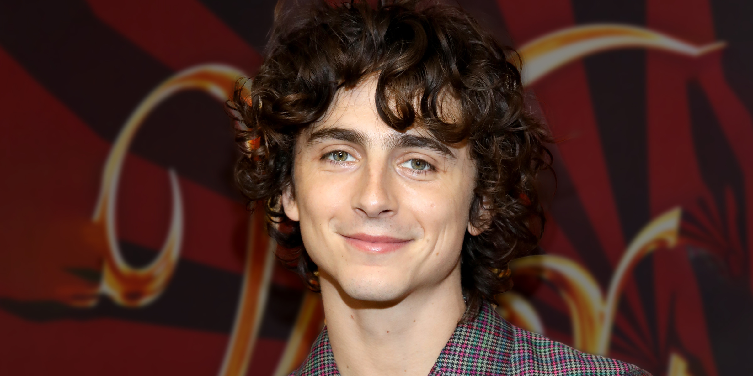 Timothée Chalamet | Source: Getty Images