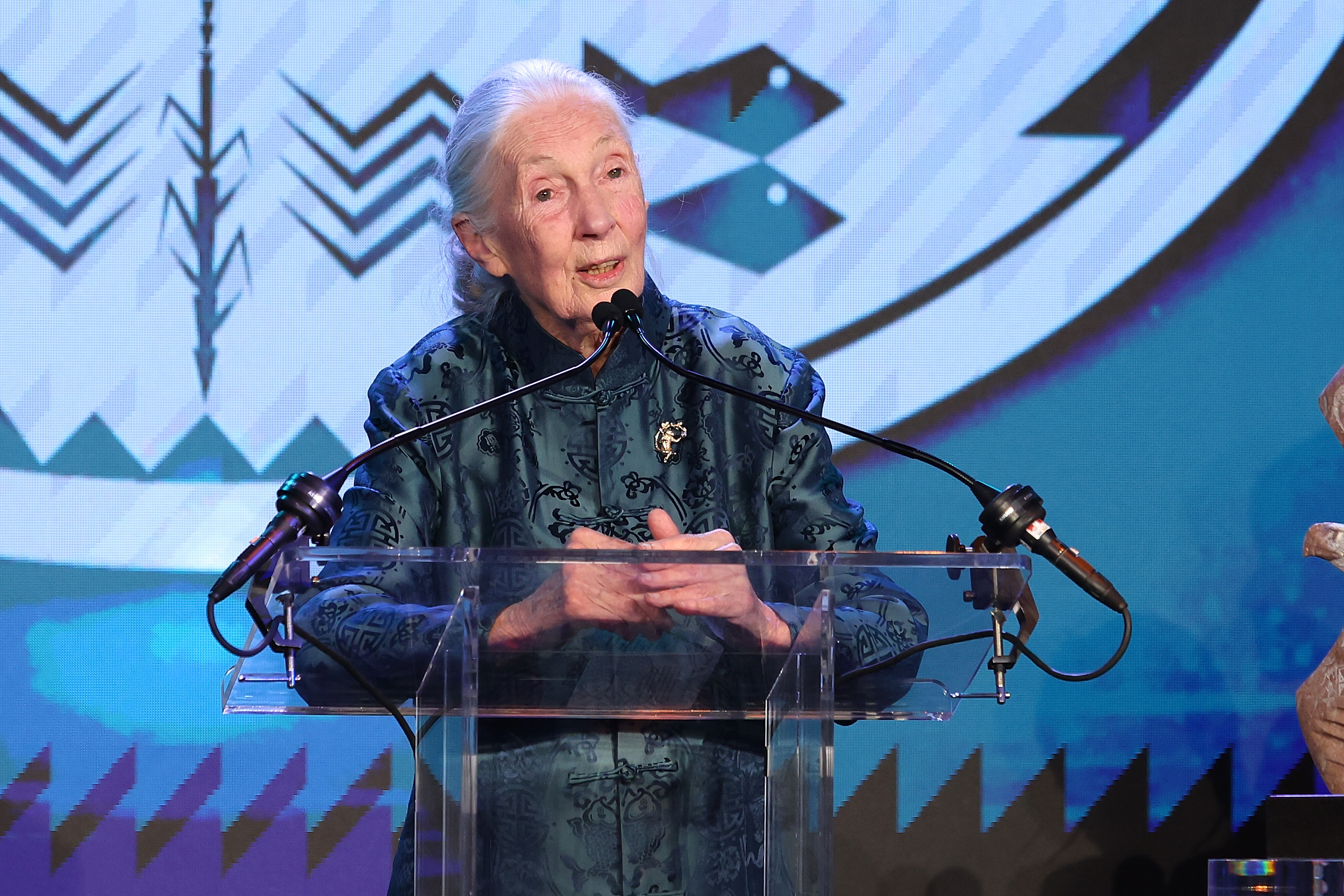 Jane Goodall speaking at Sierra Club's Trail Blazers Ball. | Source: Getty Images