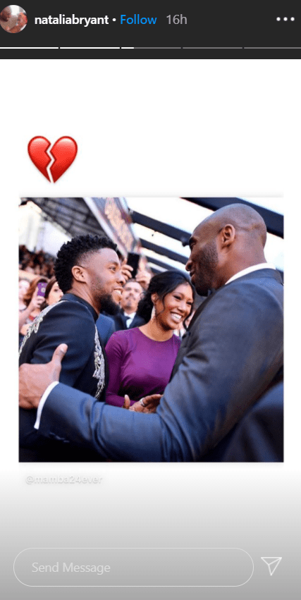 Chadwick Boseman & Kobe Bryant Fans Mourn 'Black Mamba & Black Panther' –  Hollywood Life