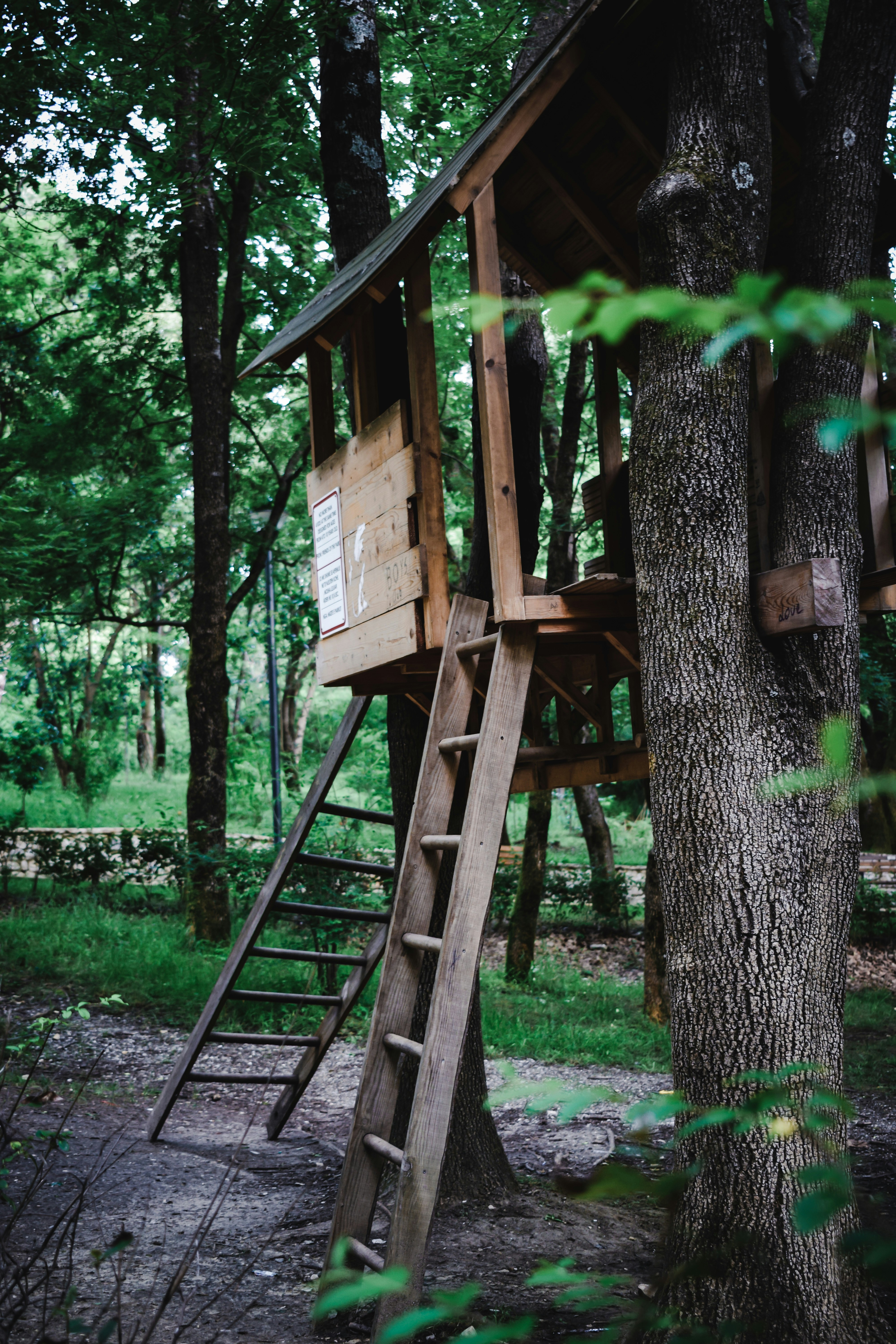A treehouse | Source: Unsplash
