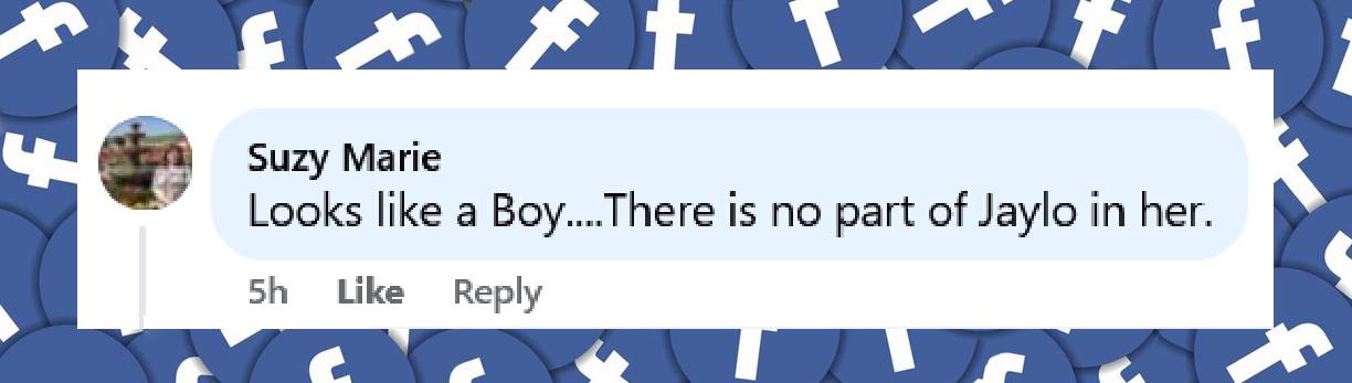 A netizen shares their view on the resemblance between Jennifer Lopez and Emme, from a post dated August 25, 2025 | Source: Facebook/enews