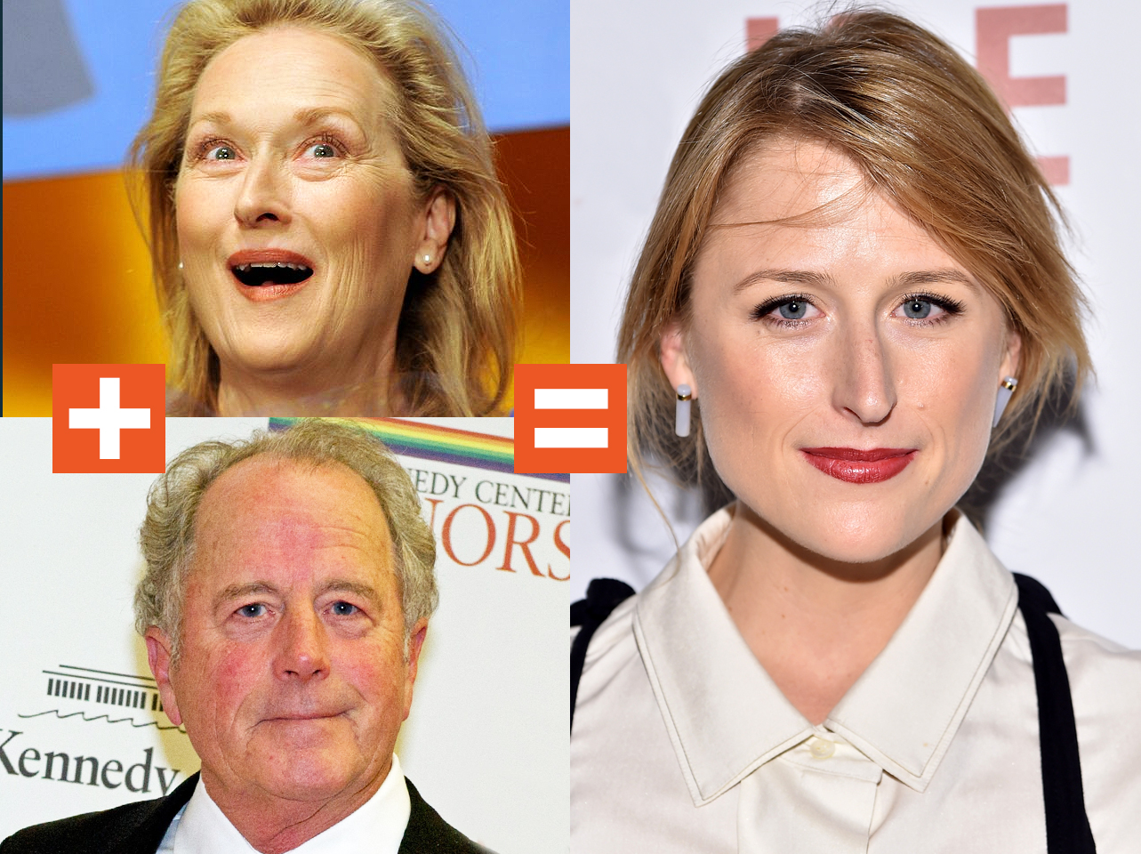 A collage of Meryl Streep, Don Gummer, and Mamie Gummer | Source: Getty Images