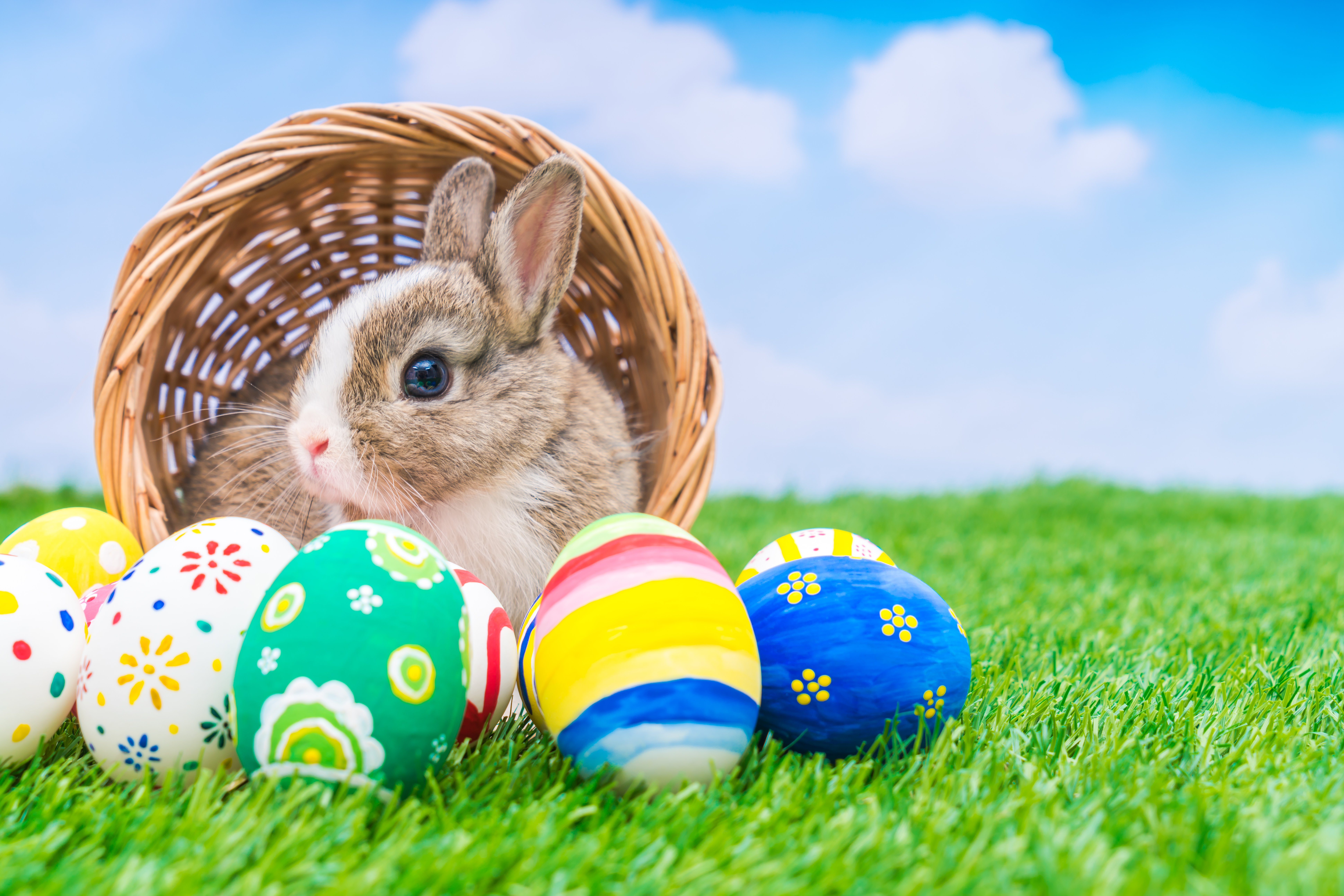 A rabbit and colored Easter eggs. | Source: Freepik