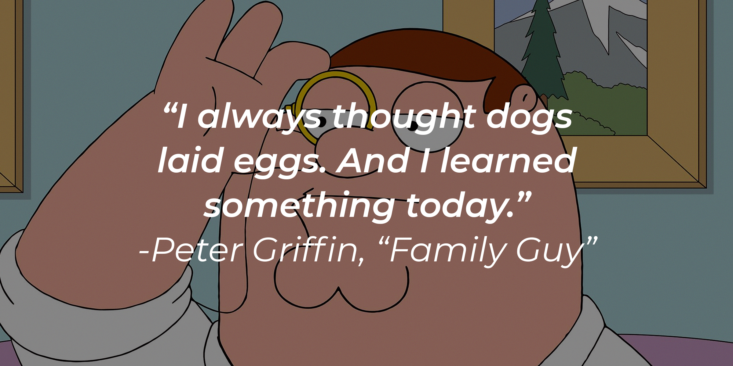 An image of Peter Griffin in "Family Guy" with his quote: "I always thought dogs laid eggs. And I learned something today." | Source: facebook.com/FamilyGuy