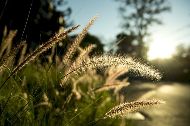 Source : Freepik