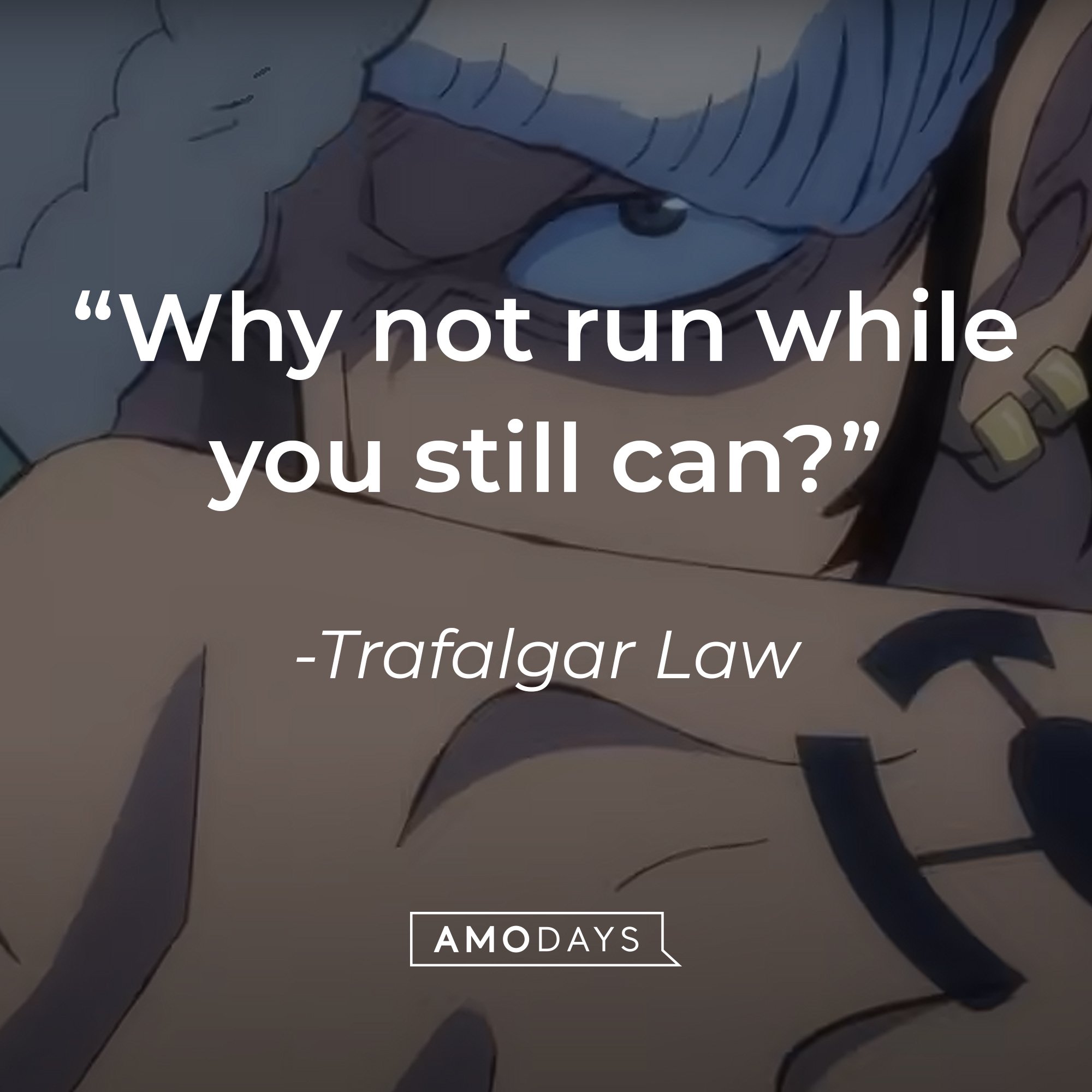 Trafalgar Law’s quote: "Why not run while you still can?" | Image: AmoDays