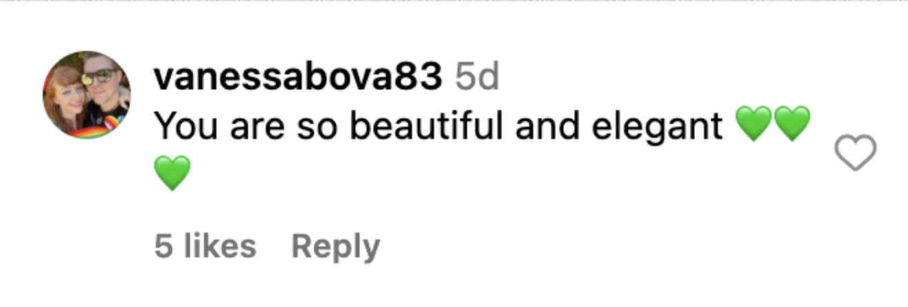 A screenshot of a fan's Instagram comment praising Goldie Hawn's beauty and elegance. | Source: instagram.com/goldiehawn