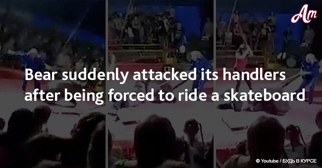 Bear suddenly attacked its handler after being forced to ride a skateboard