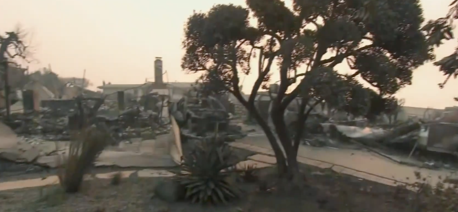 Milo Ventimiglia's neighborhood after the devastating Los Angeles wildfires. | Source: X/CBS Evening News