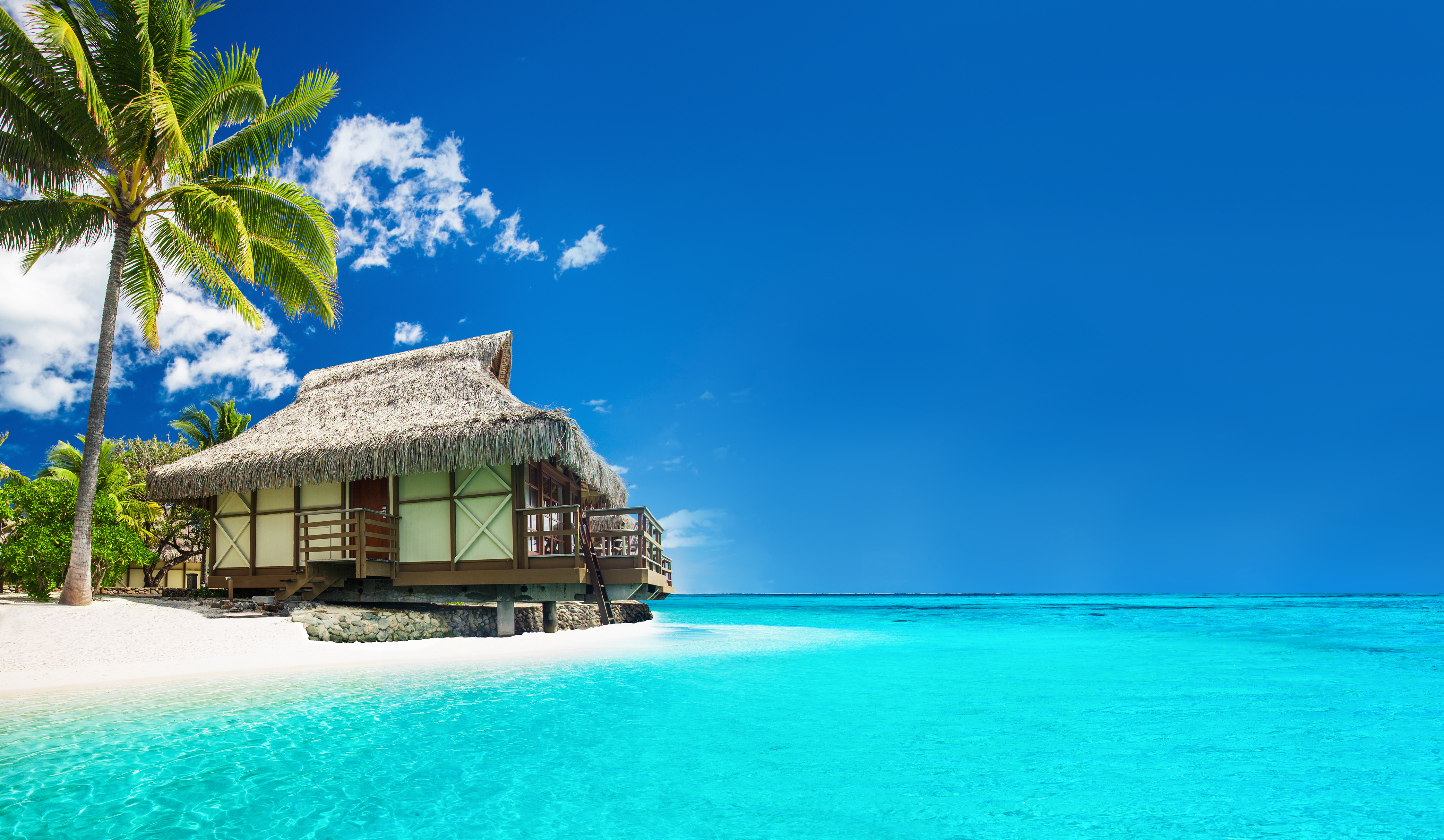 A tropical bungalow on the beach | Source: Shutterstock