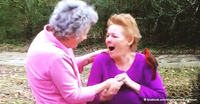 Elderly couple asked grandmother to send them a sign after death - and they got it with a bird