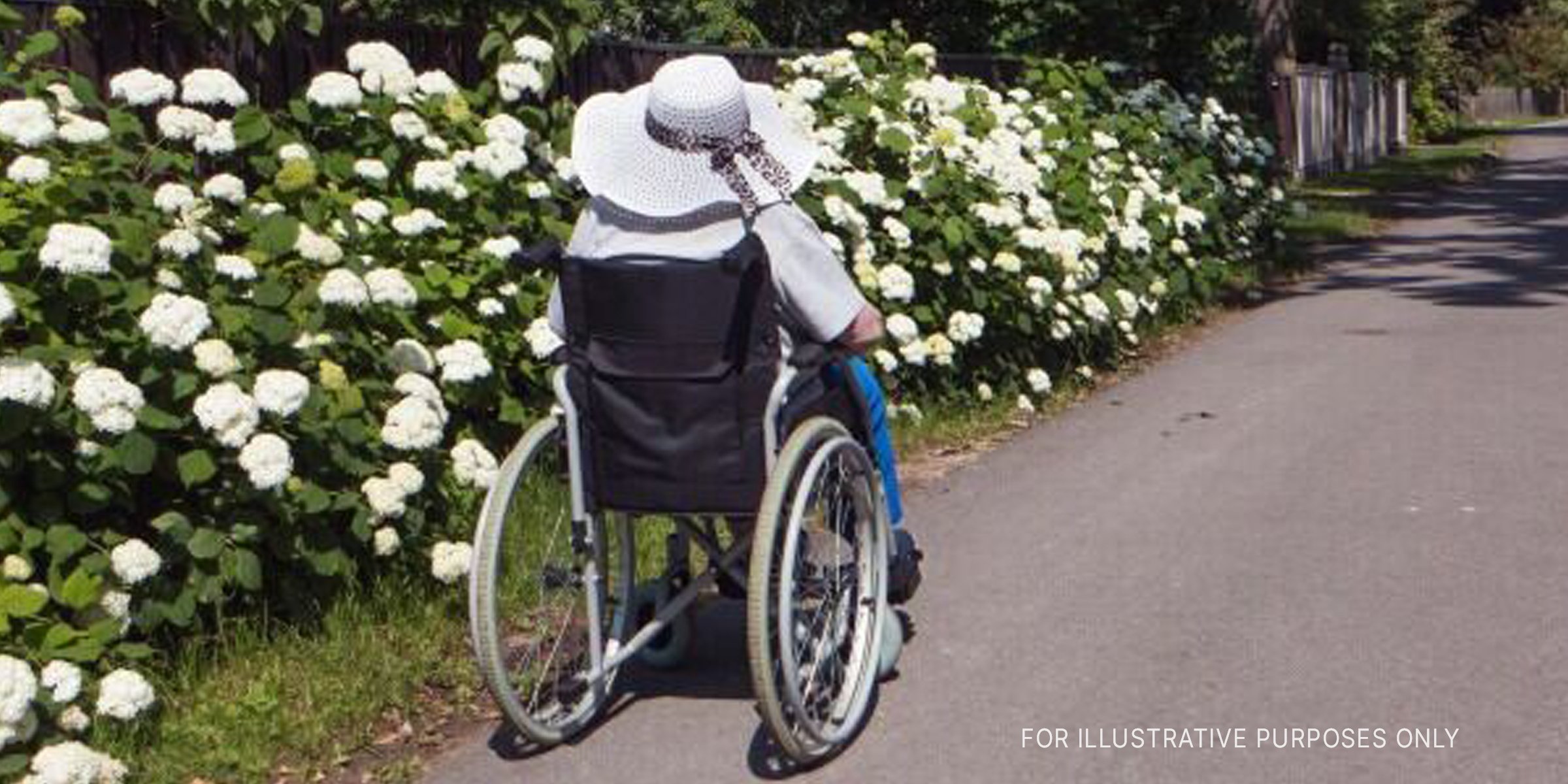 Woman in wheelchair in front of flowers. | Source: Shutterstock