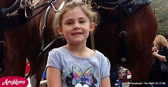 Dad takes photo of his little girl posing with a horse and bursts out laughing when he sees it