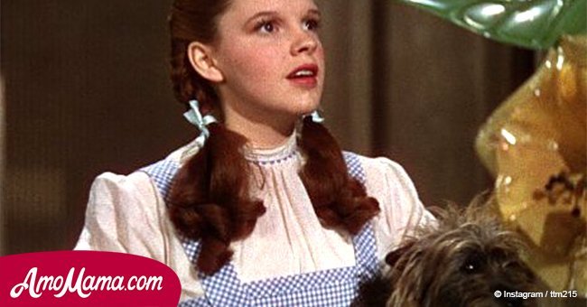 Judy Garland suffered molestation by munchkins on 'The Wizard of Oz,' ex-husband claims