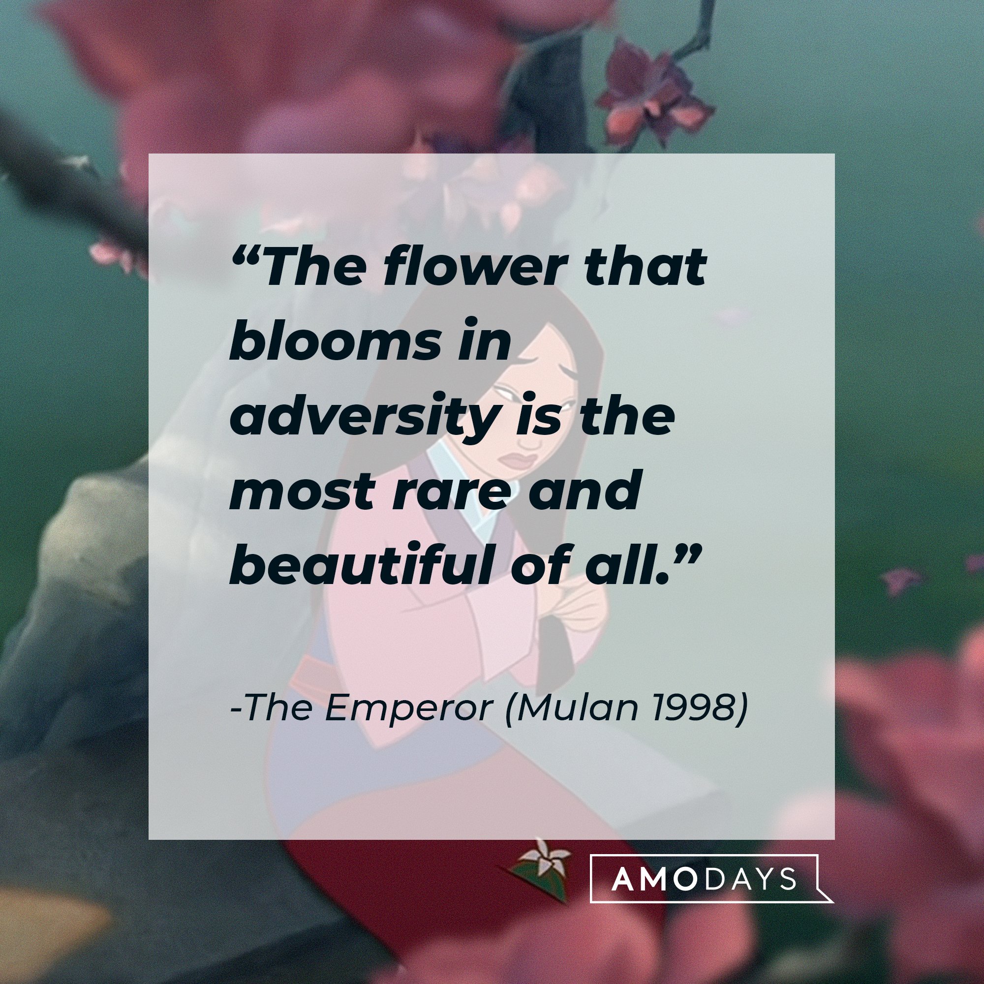 The Emperor’s quote: “The flower that blooms in adversity is the most rare and beautiful of all.” | Image: AmoDays