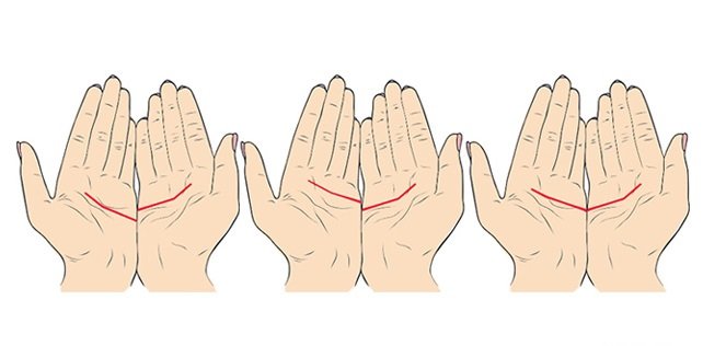 Palmas y líneas de las manos. Foto: Shutterstock