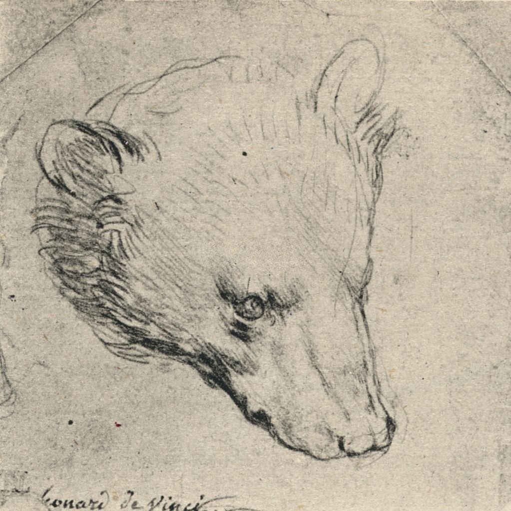 Dessin de Léonard de Vinci. | Photo : Getty Images