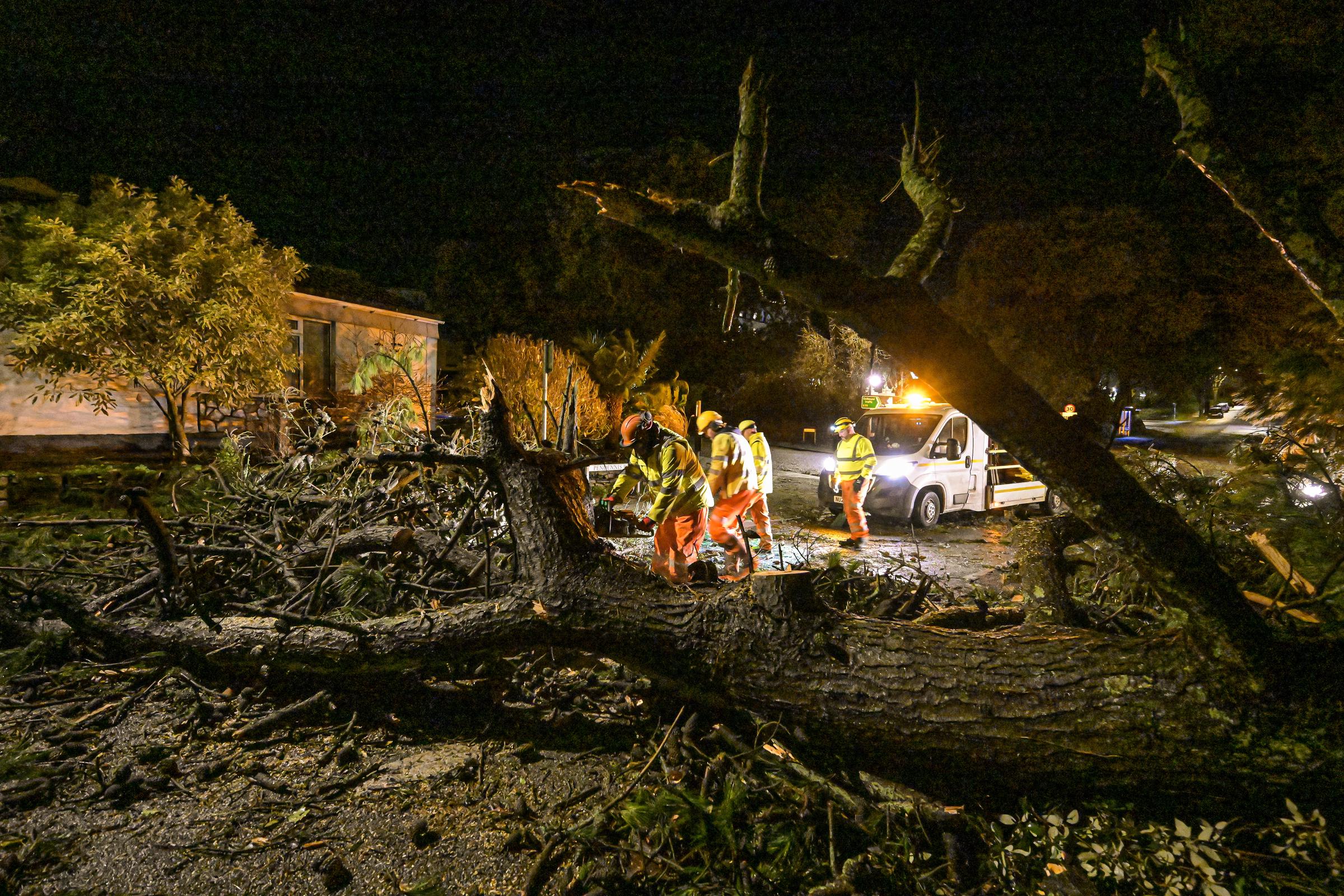 Council workers clear fallen trees from a road after Storm Goretti passed through at night on 9 January 2026 in Falmouth, Cornwall, England. | Source: Getty Images