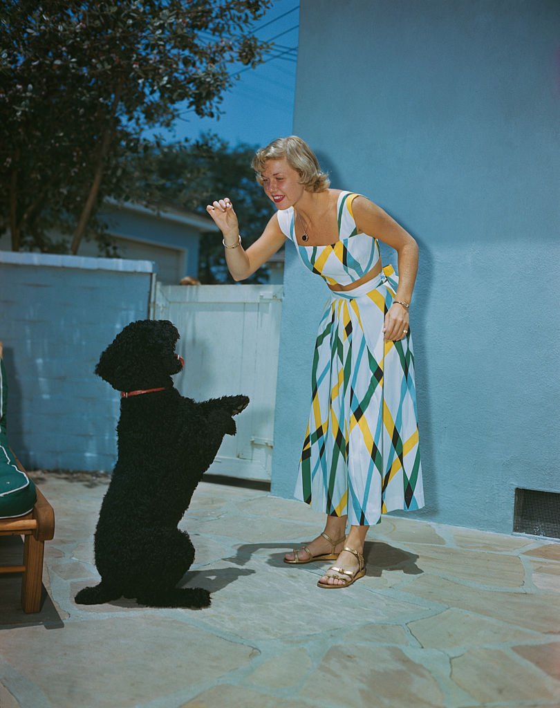 Doris Day playing with a dog, circa 1950 | Photo: Getty Images