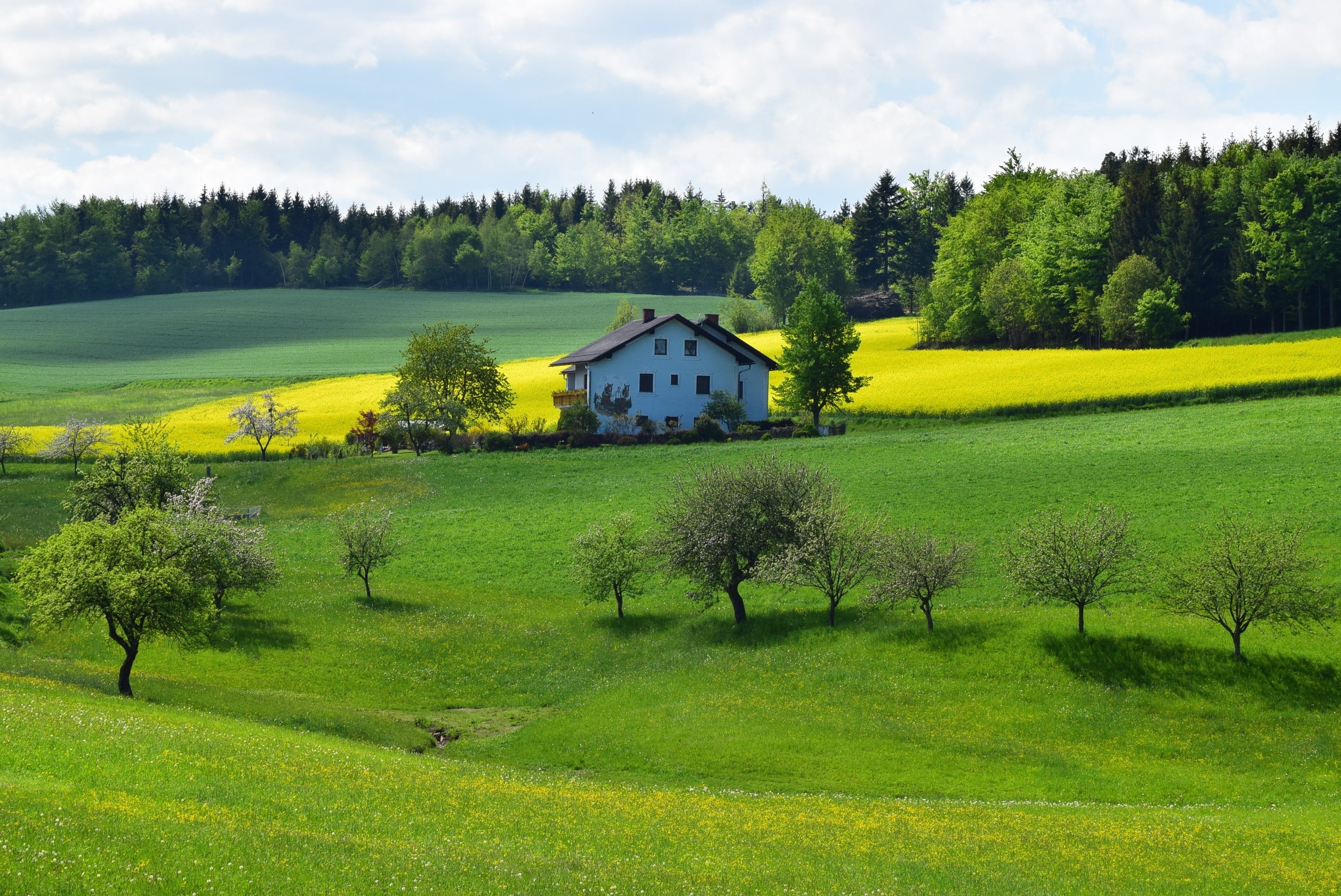 The three men came across a beautiful inn to spend the night. | Photo: Pexels