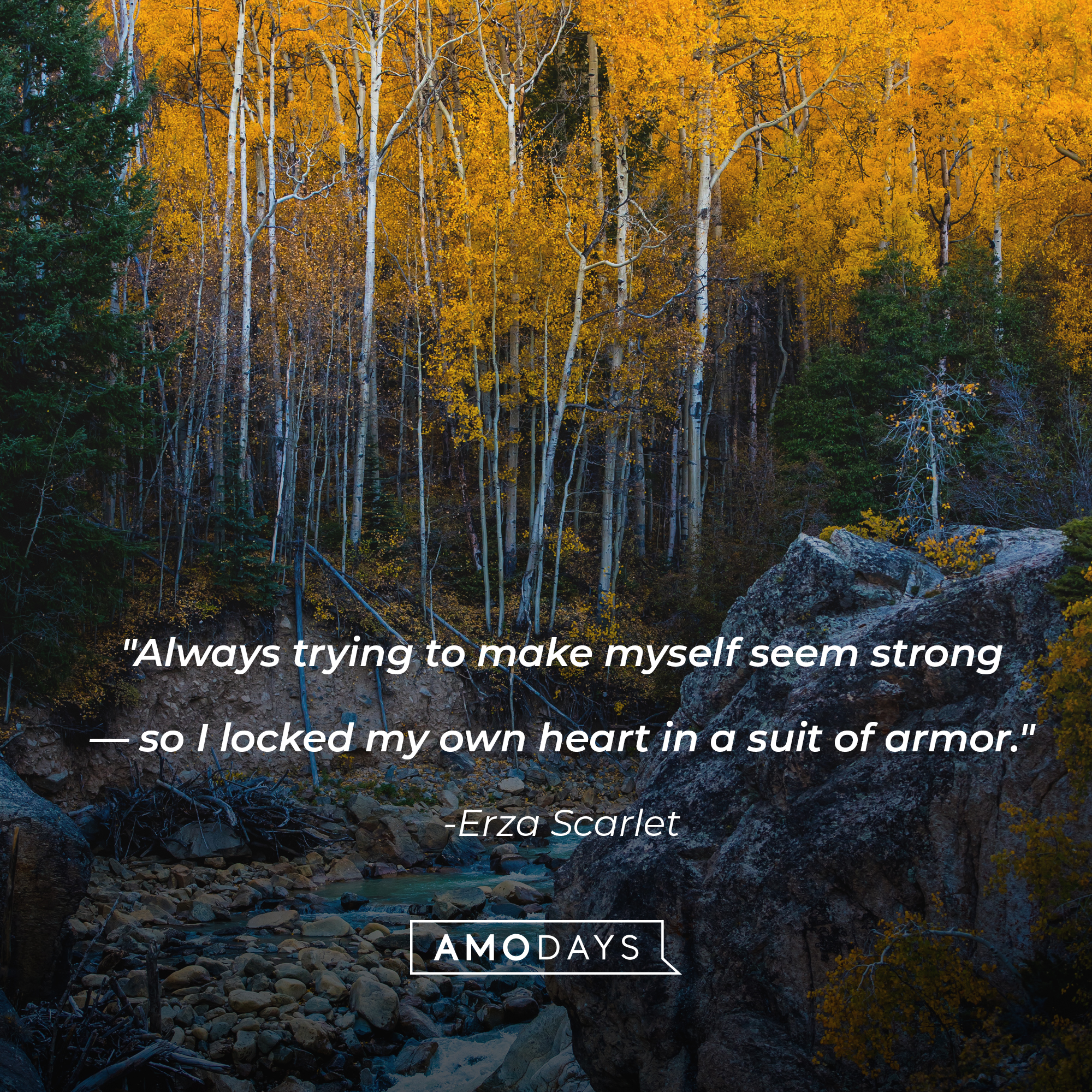 Erza Scarlet's quote: "Always trying to make myself seem strong―so I locked my own heart in a suit of armor." | Image: Unsplash