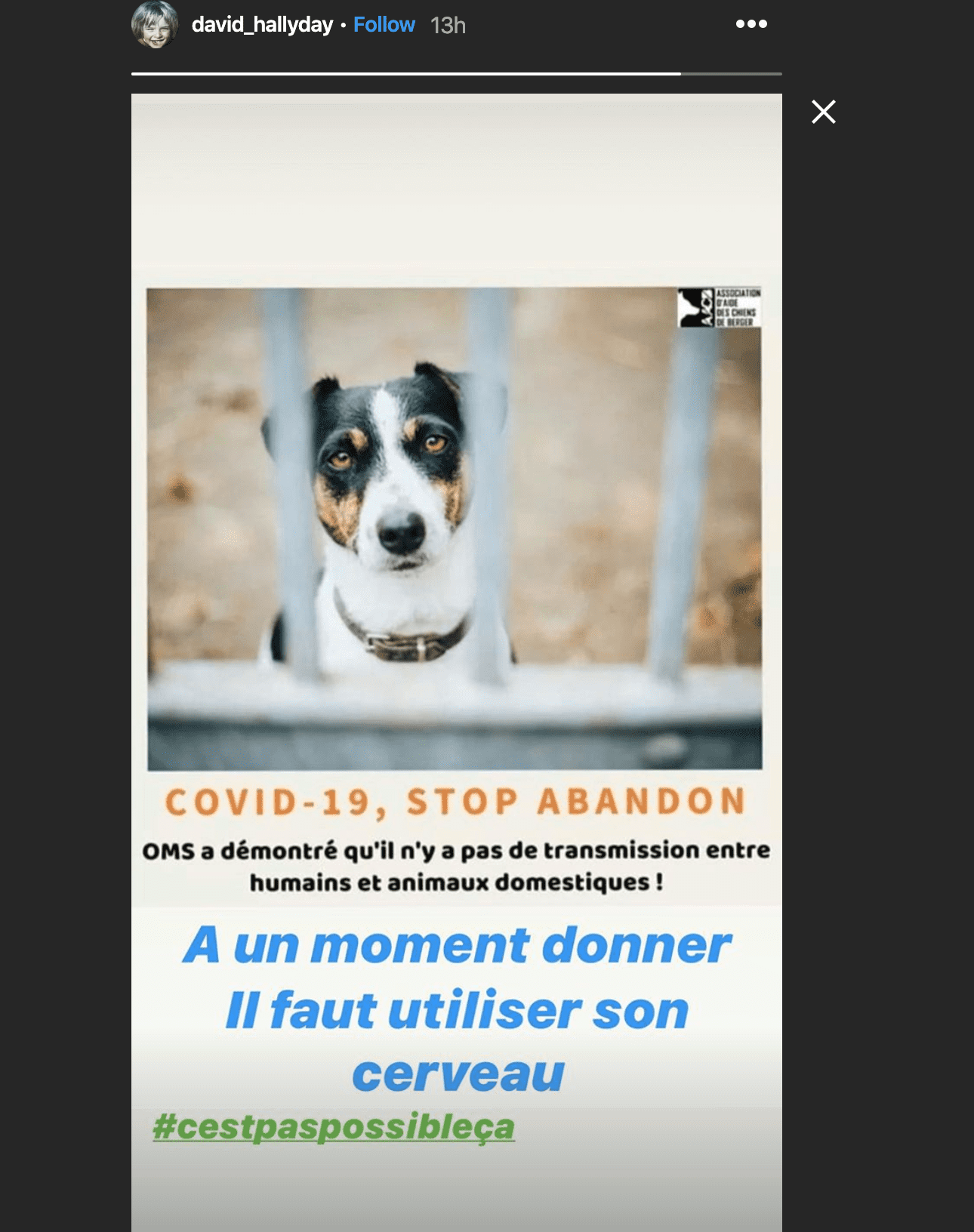 Story de David hallyday dénoncant l'abandon d’animaux de compagnie. | Photo : Story Instagram / David Hallyday