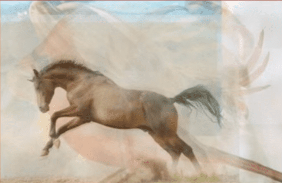 El caballo entre los animales. | Imagen: YouTube / Lo Mas Trending