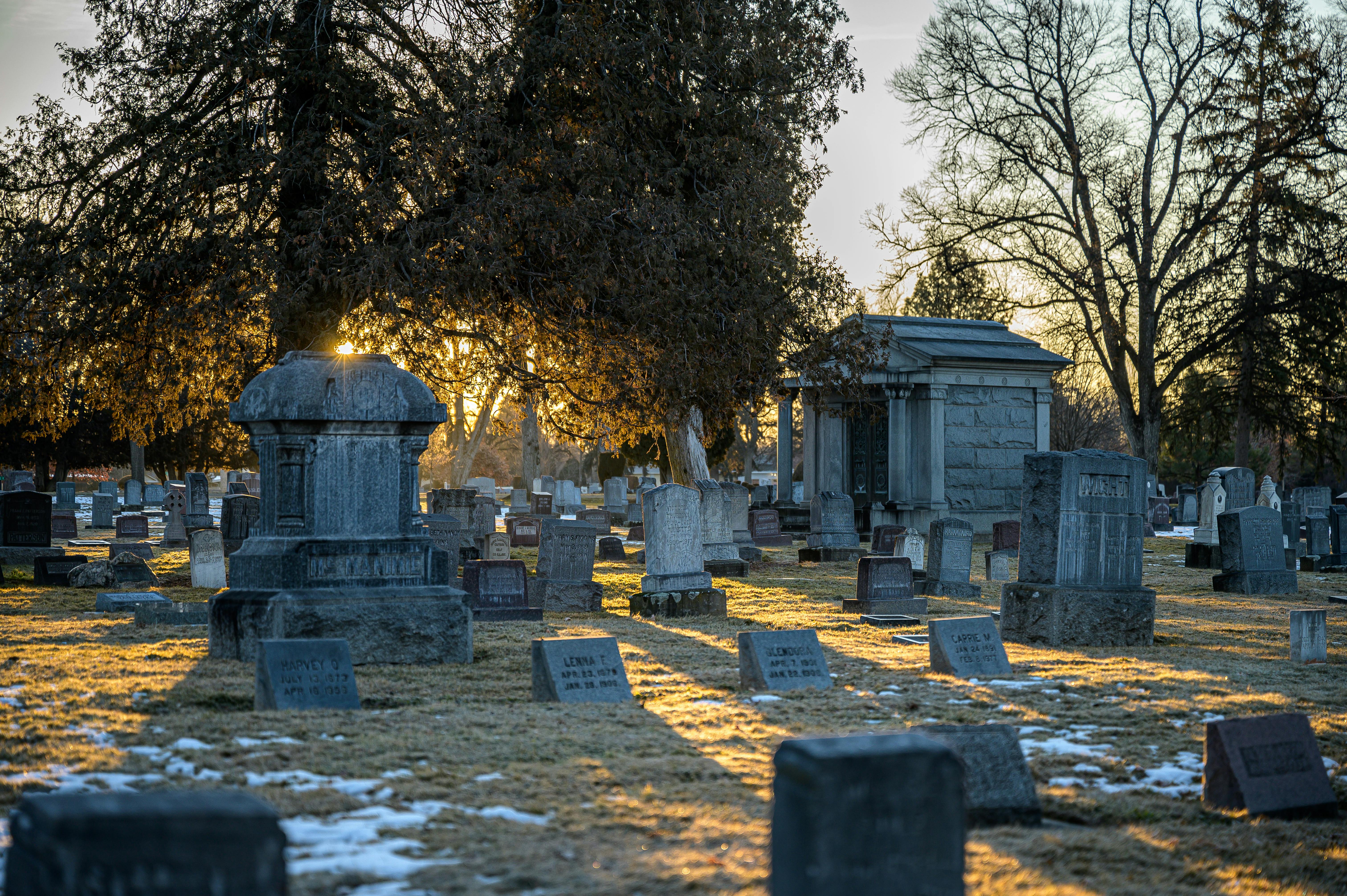 A sunlit cemetery | Source: Pexels