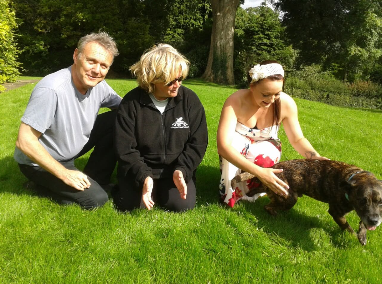 Anthony Head, Sarah Fisher, and another person spend time with one of the animals at Sarah's training center, reflecting the family's shared love of animal welfare. | Source: Sarah Fisher