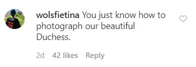 A fan comments on royal photographer, Samir Hussein photo of Meghan Markle at the Commonwealth Day service at Westminster Abbey | Source: Instagram.com/samhussein1