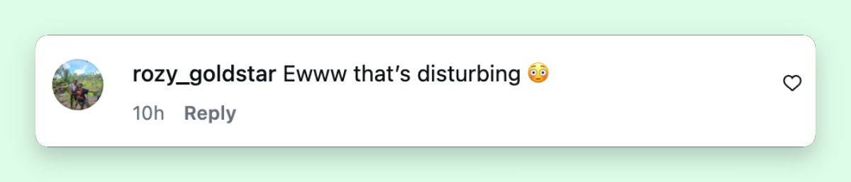 A netizen's comment about Lisa Rinna's dress for Elton John AIDS Foundation's 34th Annual Academy Awards Viewing Party on March 15, 2026 | Source: Instagram/entertainmenttonight