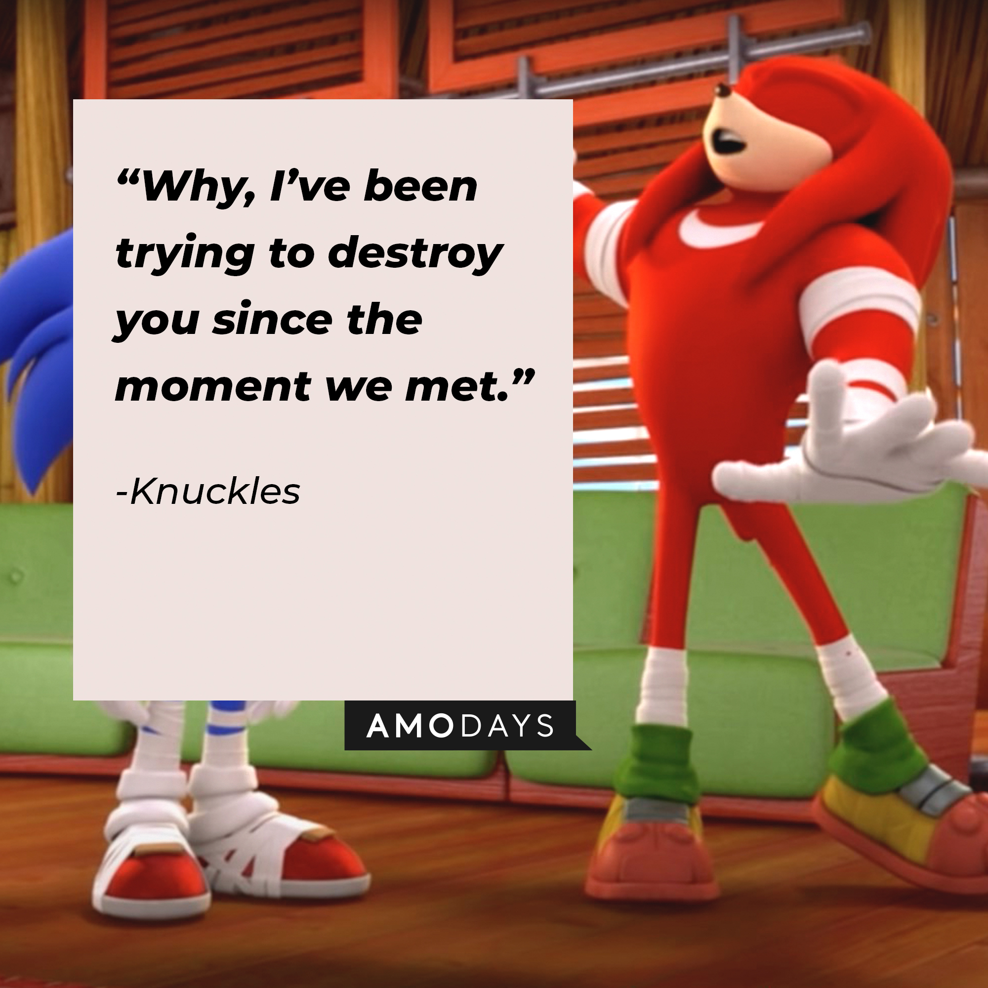 An image of Knuckles with his quote: “Why, I’ve been trying to destroy you since the moment we met.” | Source: youtube.com/Sonic.Boom_Official