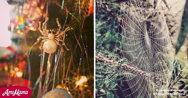 Here's why some people are putting spiders on their Christmas trees