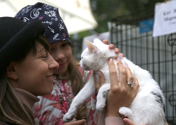  People look at a cat during the Drug Dlya Druga rehoming event in Bauman Garden Photo: Getty Images